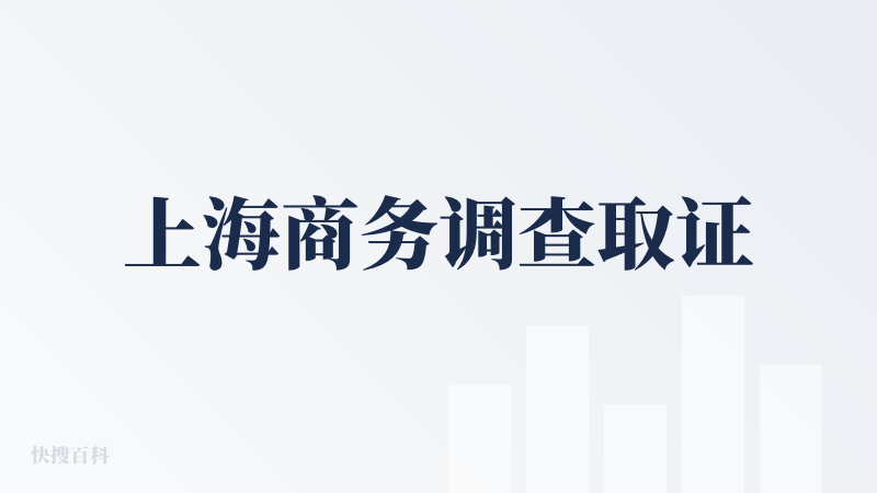 上海商务调查取证