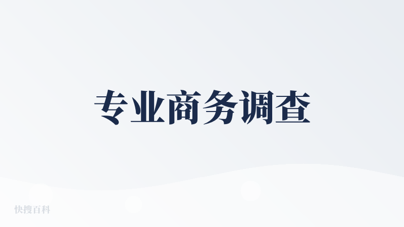 专业商务调查