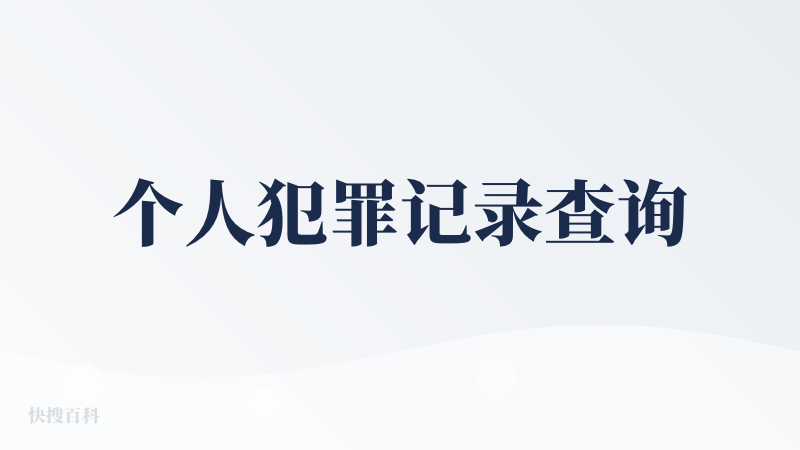 个人犯罪记录查询