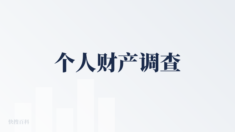 个人财产调查