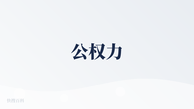 公权力
