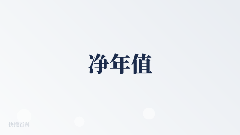 净年值