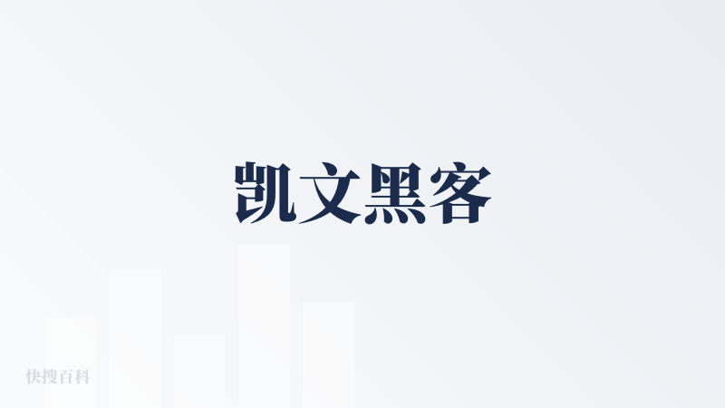 凯文黑客