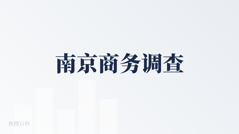 南京商务调查
