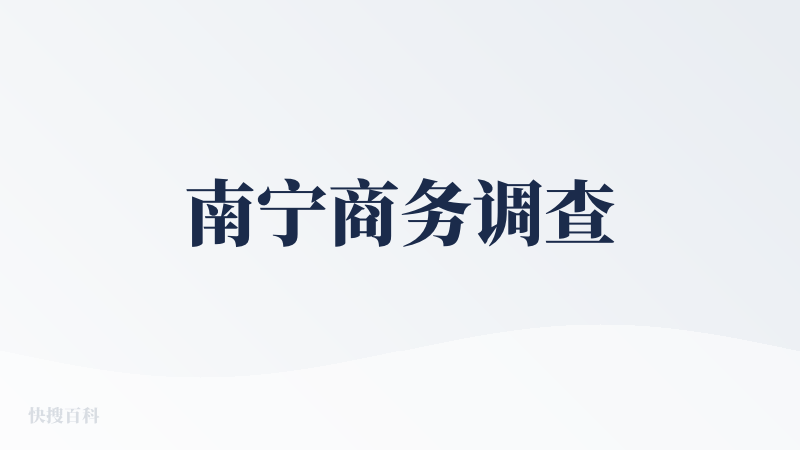 南宁商务调查