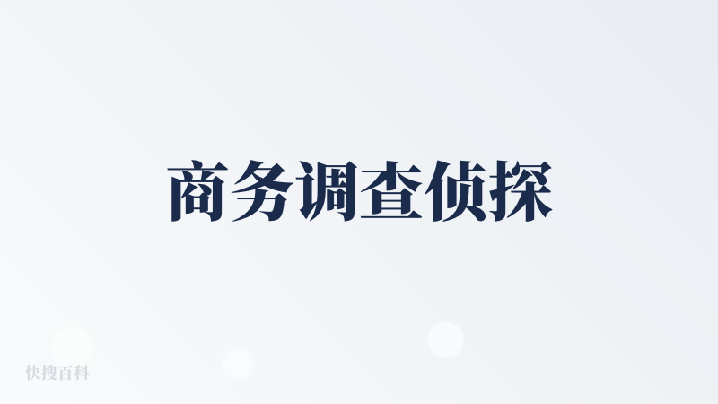 商务调查侦探