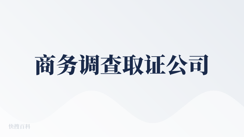 商务调查取证公司