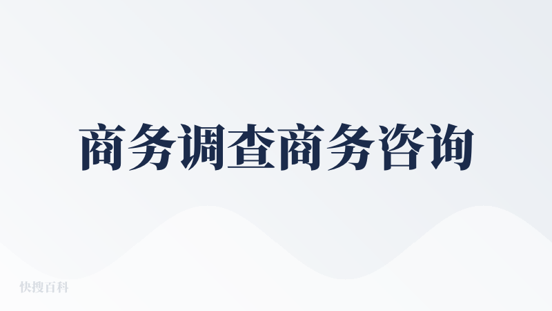 商务调查商务咨询