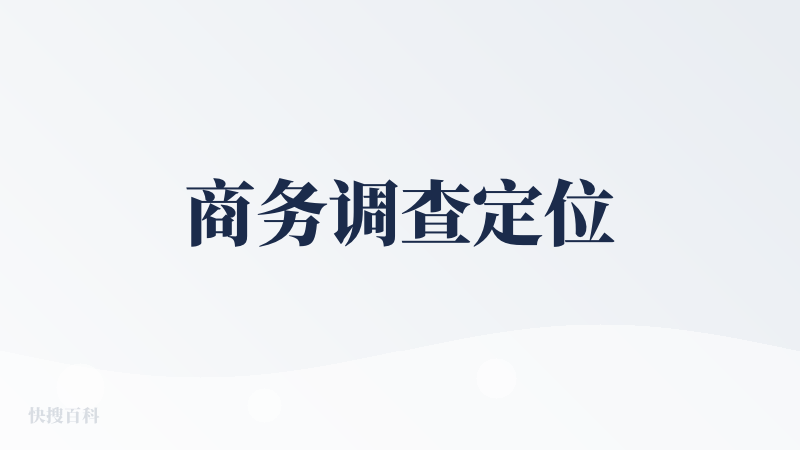 商务调查定位