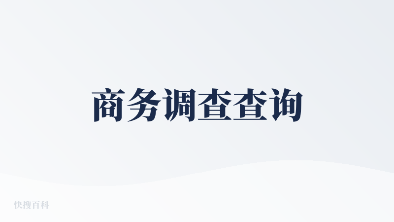 商务调查查询