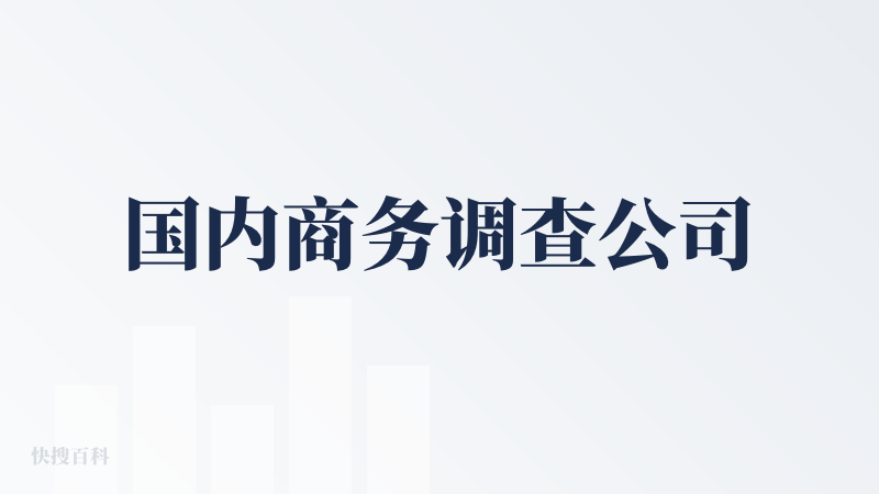 国内商务调查公司