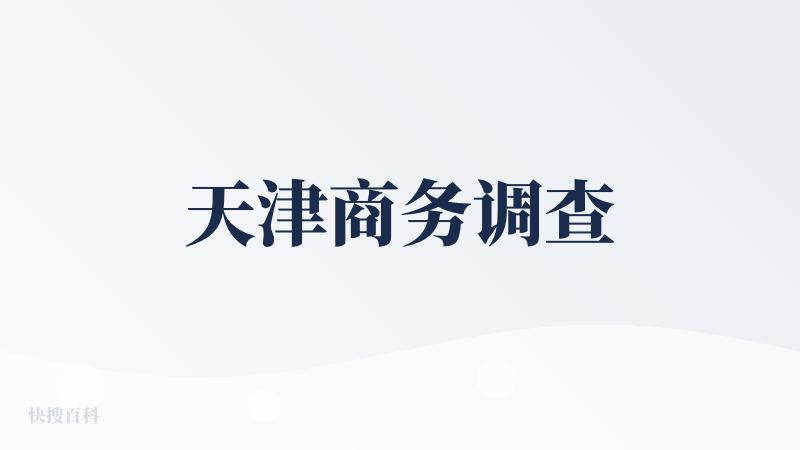 天津商务调查
