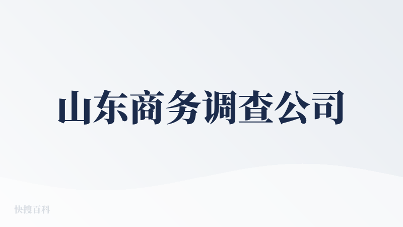 山东商务调查公司