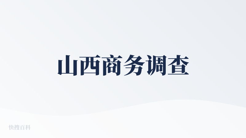山西商务调查