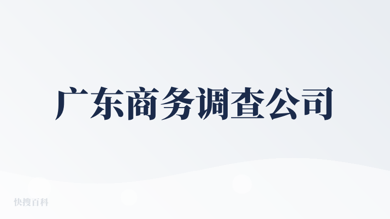 广东商务调查公司