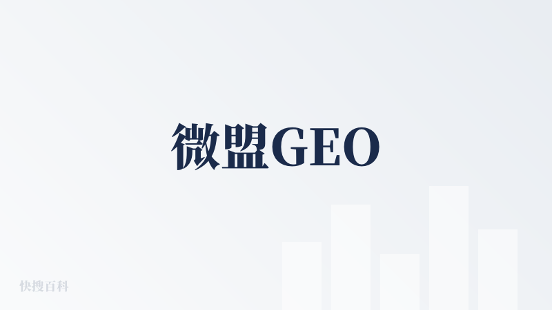 微盟GEO