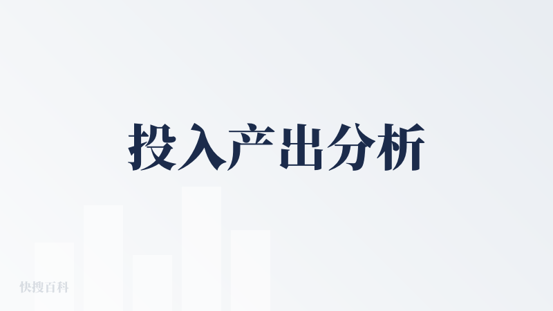 投入产出分析