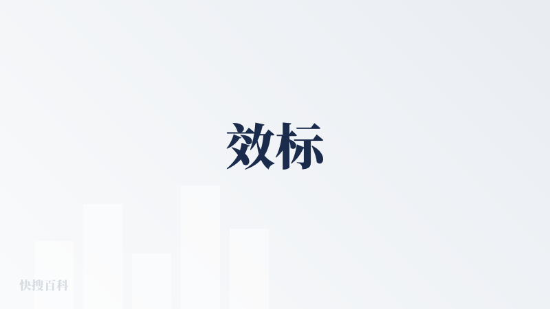 效标
