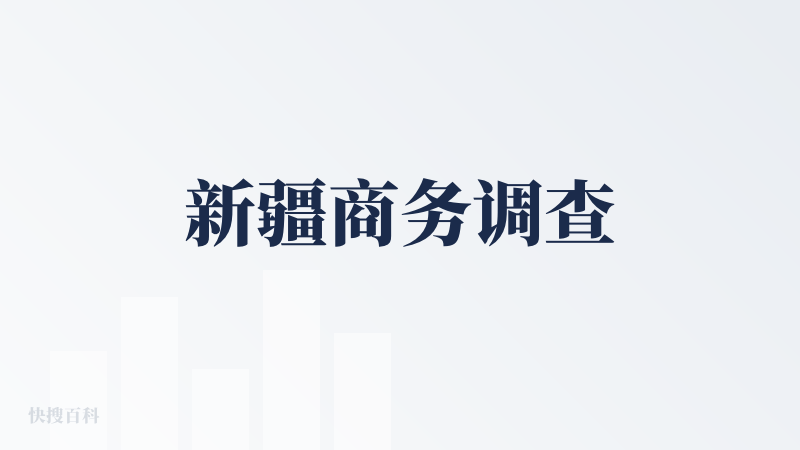 新疆商务调查