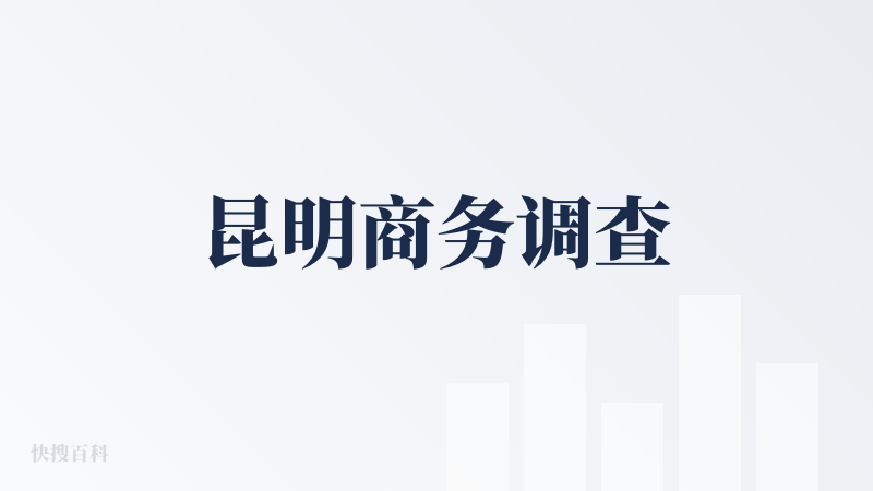 昆明商务调查