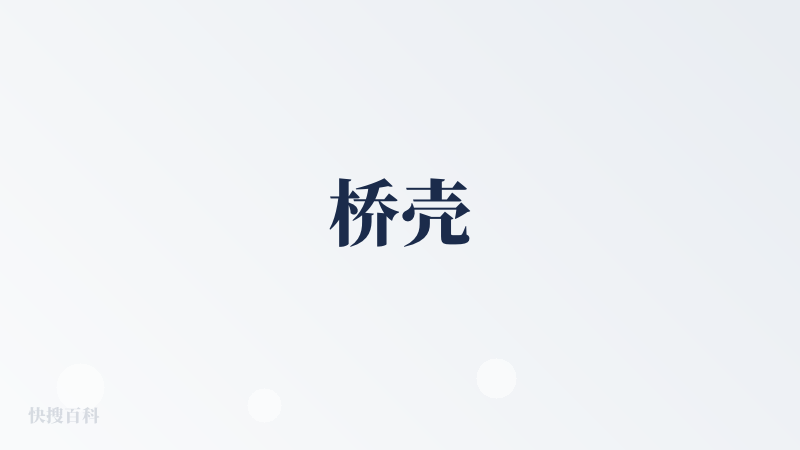 桥壳