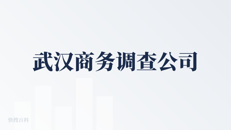 武汉商务调查公司