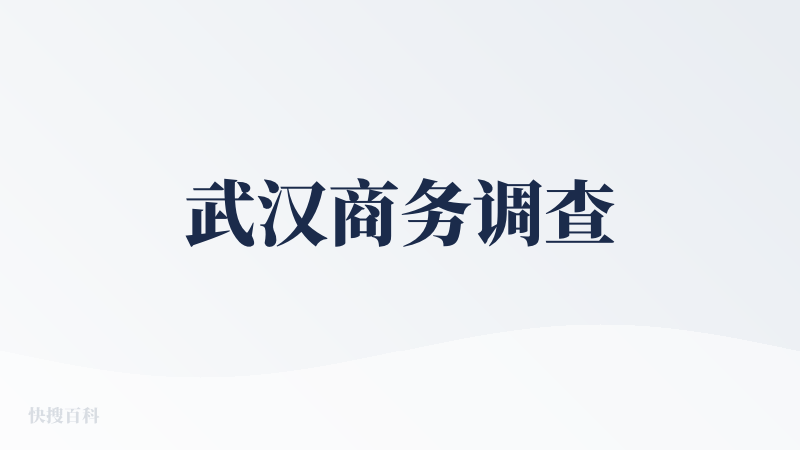 武汉商务调查
