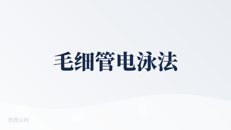 毛细管电泳法