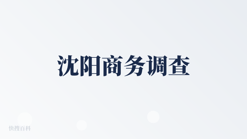 沈阳商务调查