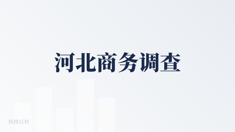 河北商务调查