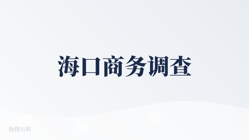海口商务调查
