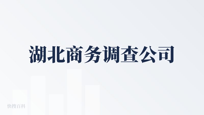 湖北商务调查公司