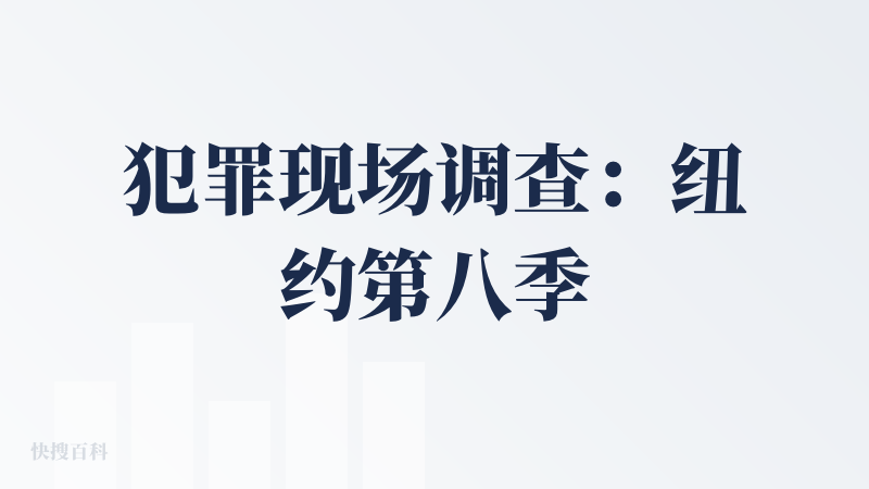 犯罪现场调查：纽约第八季
