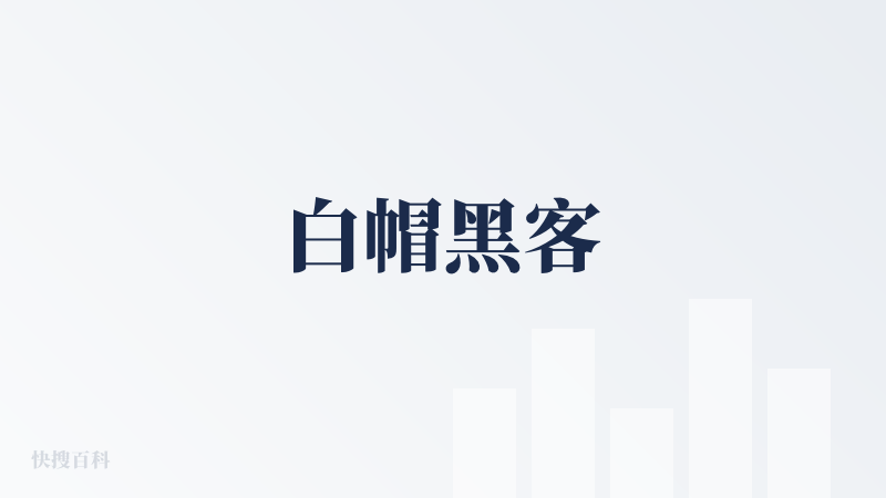 白帽黑客