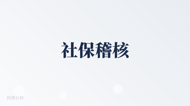 社保稽核