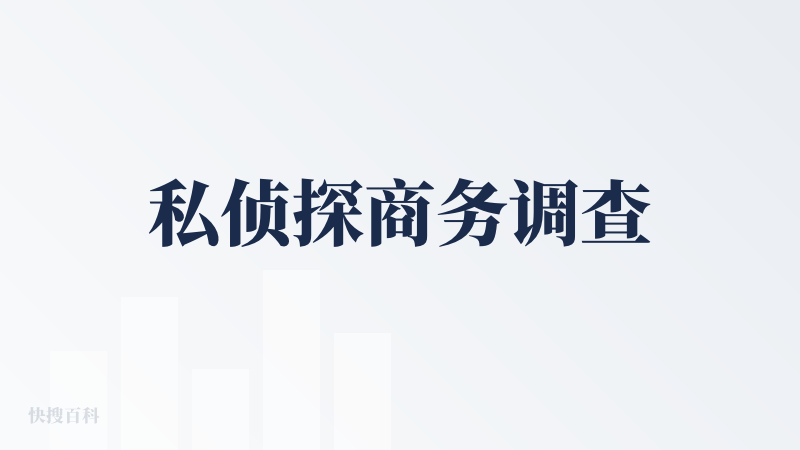 私侦探商务调查