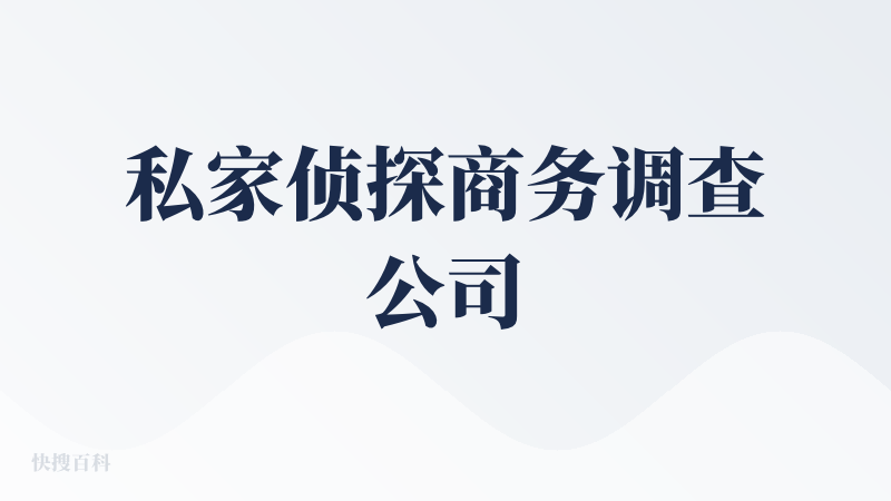 私家侦探商务调查公司