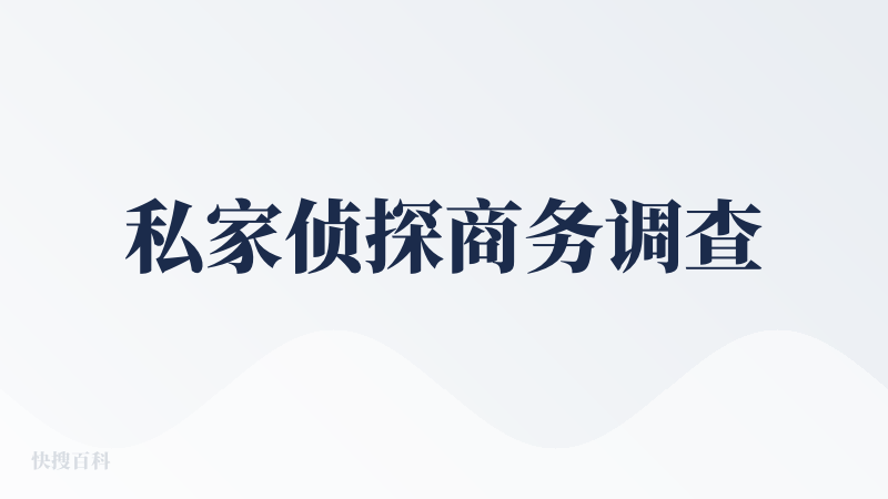 私家侦探商务调查