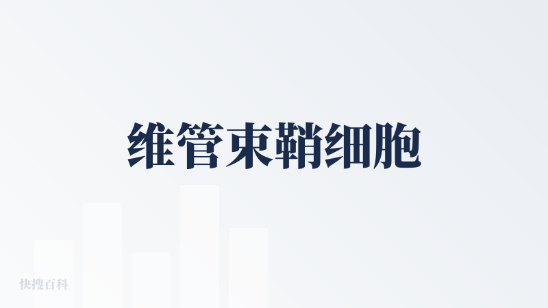 维管束鞘细胞