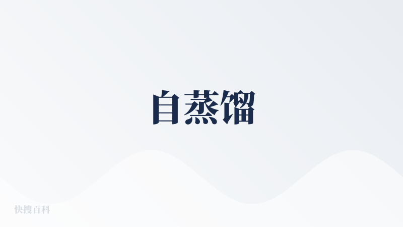 自蒸馏