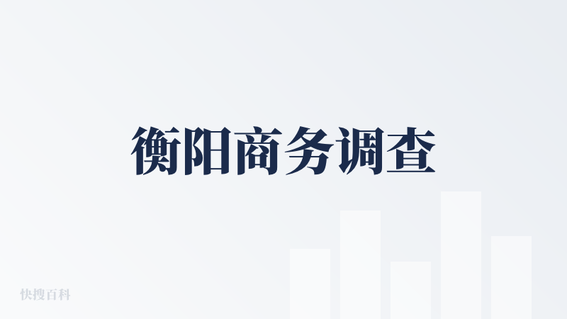 衡阳商务调查