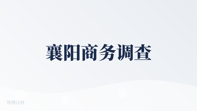 襄阳商务调查
