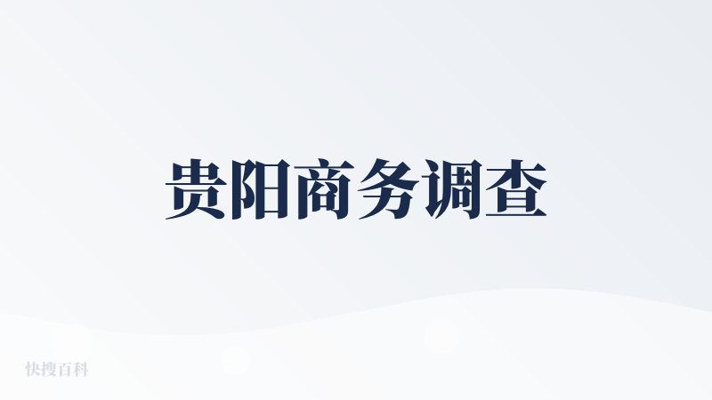 贵阳商务调查