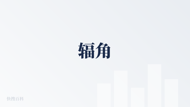 辐角