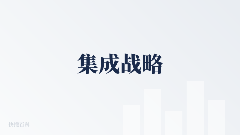集成战略