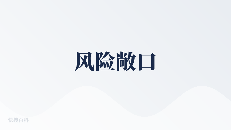 风险敞口