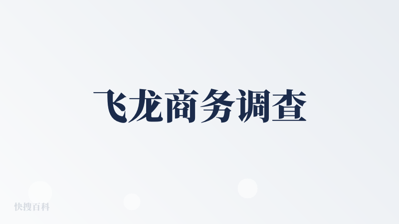 飞龙商务调查