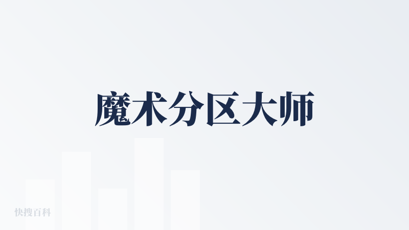 魔术分区大师