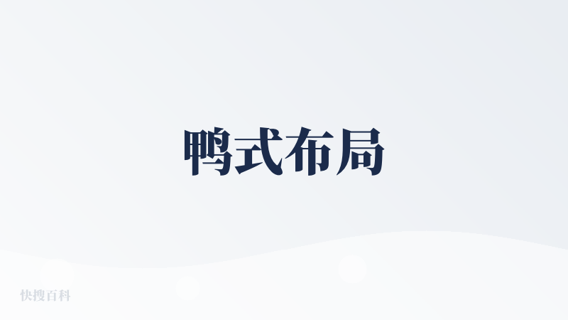 鸭式布局