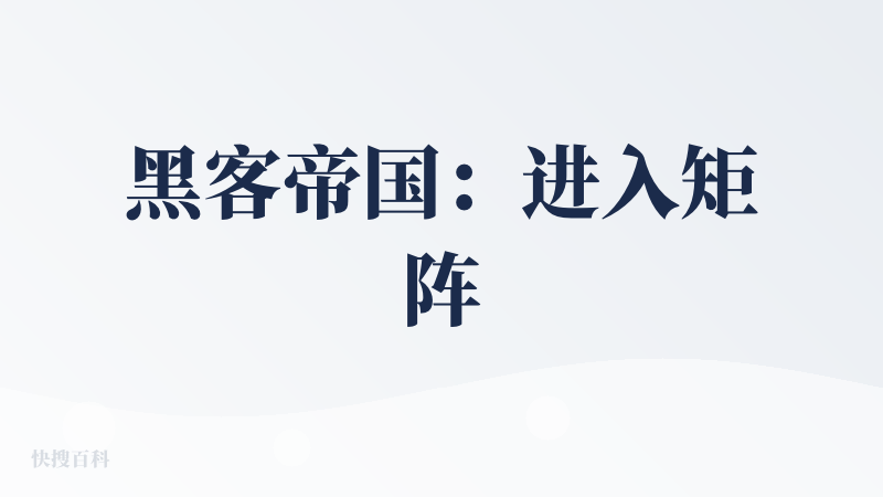 黑客帝国：进入矩阵